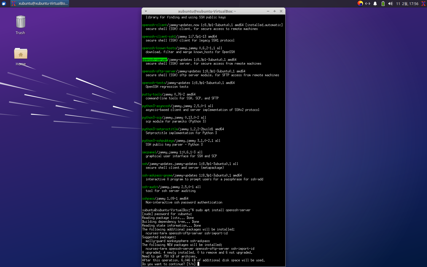apt-inst-sshd
